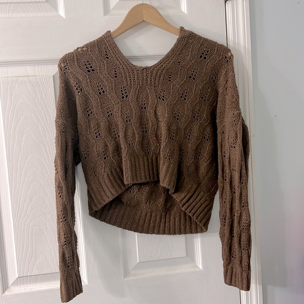 pink rose - brown sweater